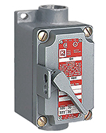 Explosion-Proof Switch 
Class I Div I or II